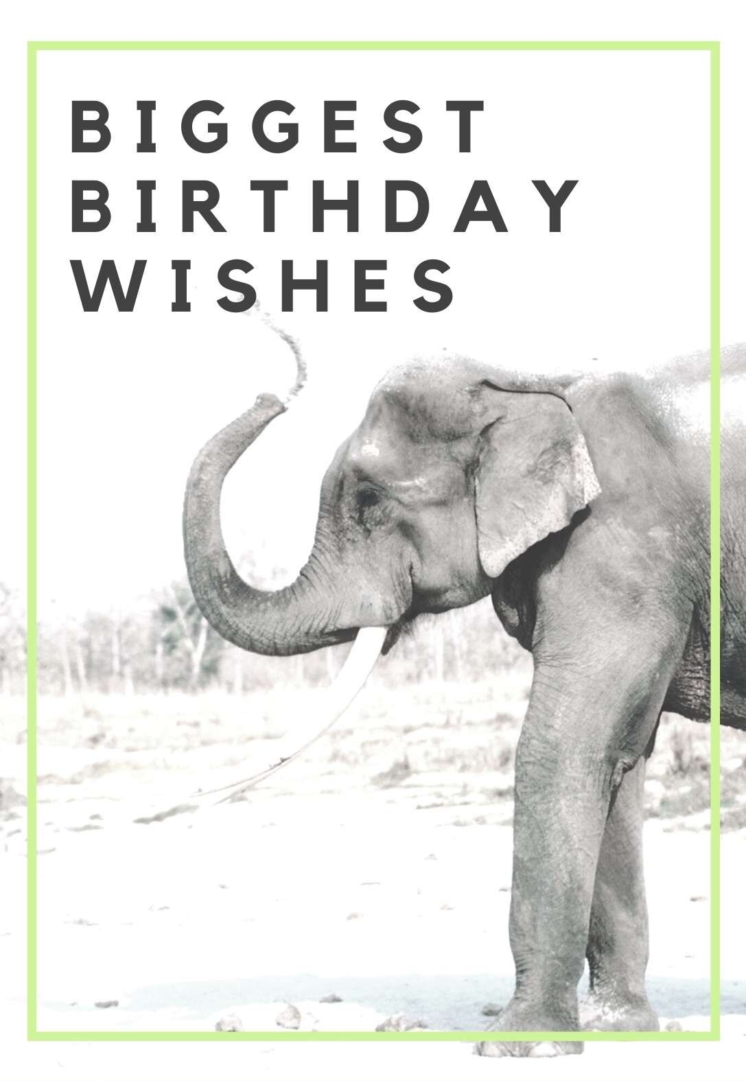 10 Elephant Printable Birthday Cards free PRINTBIRTHDAY CARDS