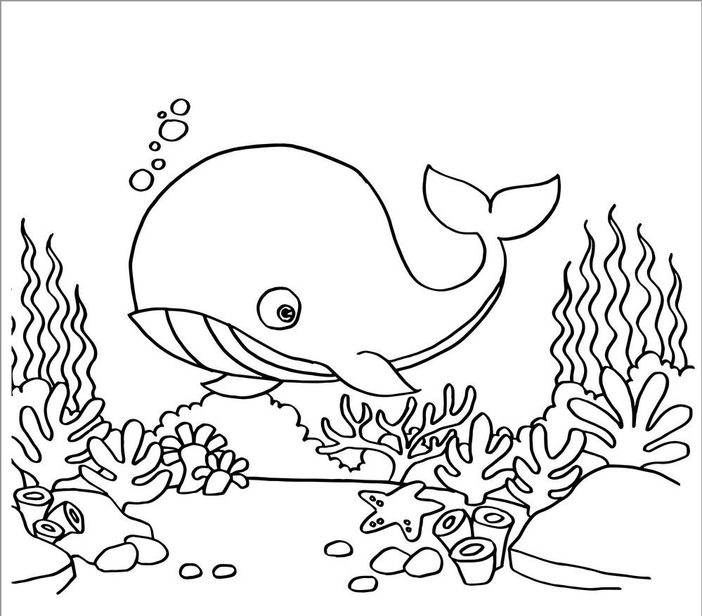 10 Magnificent Whale Animal Coloring Pages To Color