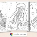 22 Jellyfish Coloring Pages Free PDF Printables