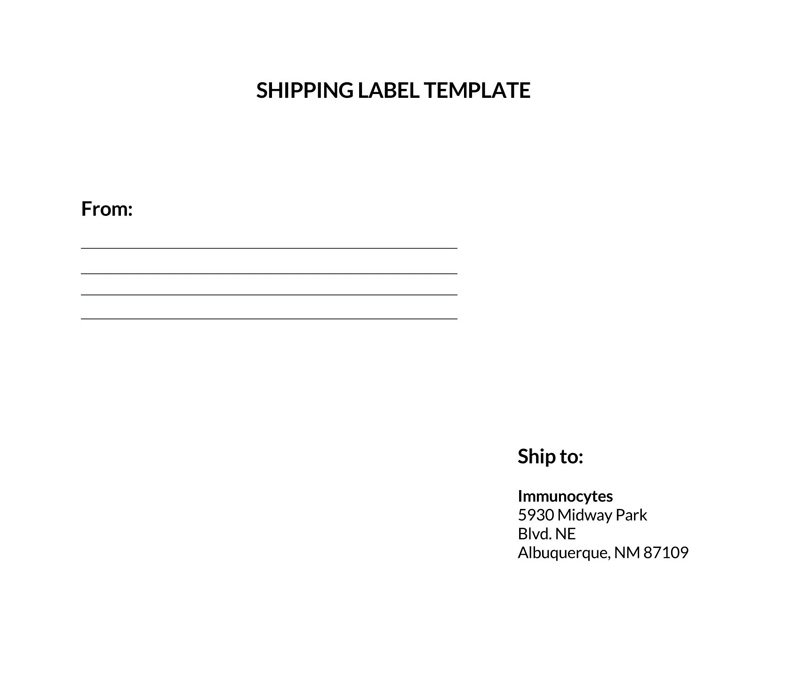30 Free Printable Shipping Label Templates Word PDF 
