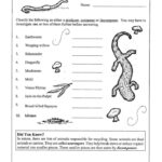 4th Grade Science Worksheets Word Lists And Activities Worksheets