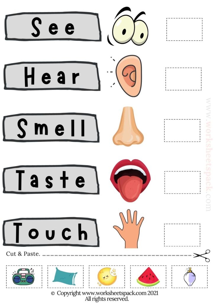 5 Senses Activities For Preschool Worksheetspack