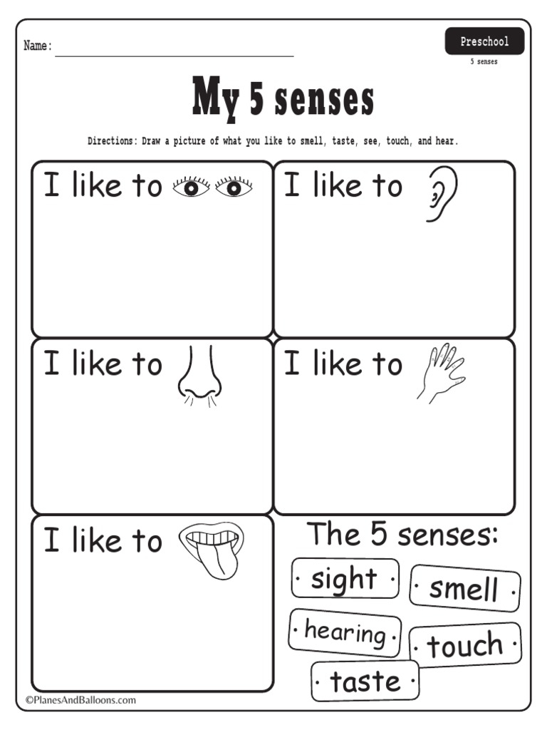 5 Senses Preschool Worksheets PDF PDF Worksheets Library