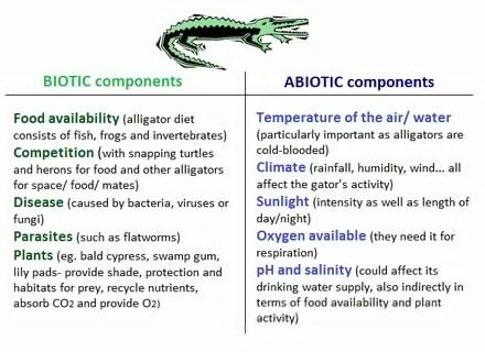 50 Abiotic Vs biotic Factors Worksheet Answers