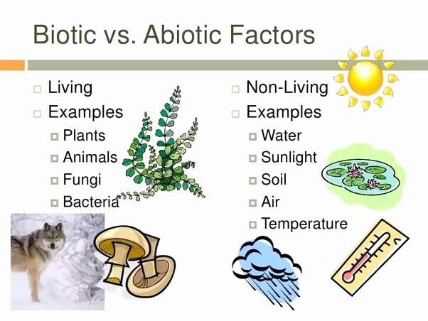 50 Abiotic Vs biotic Factors Worksheet Answers