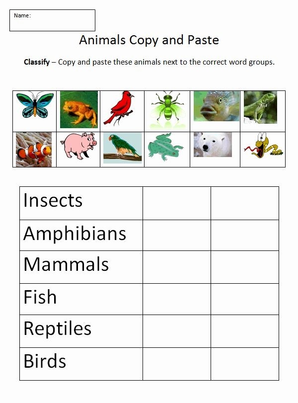 animal worksheet pdf
