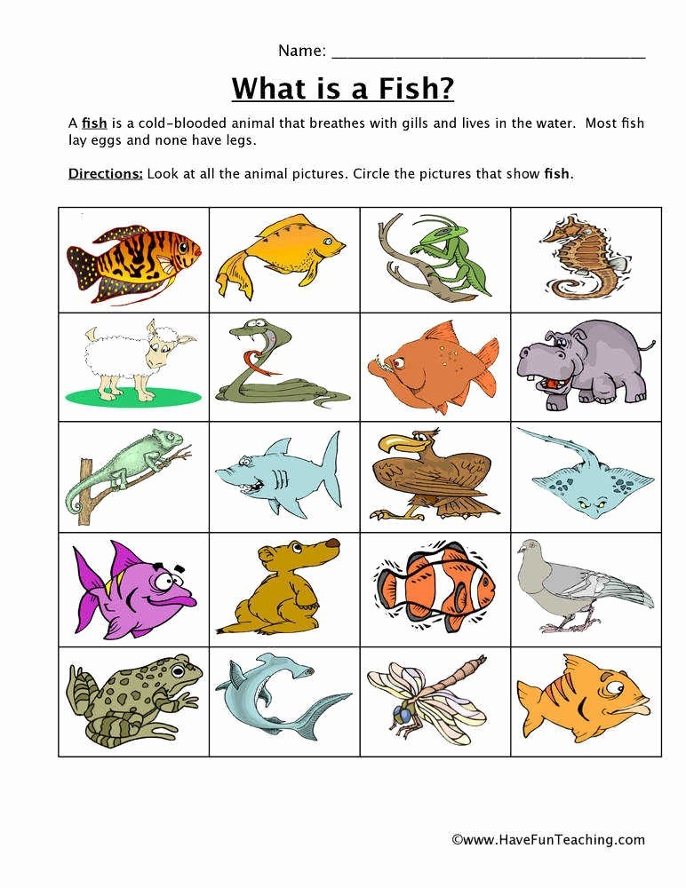 50 Animal Classification Worksheet Pdf Chessmuseum Template Library