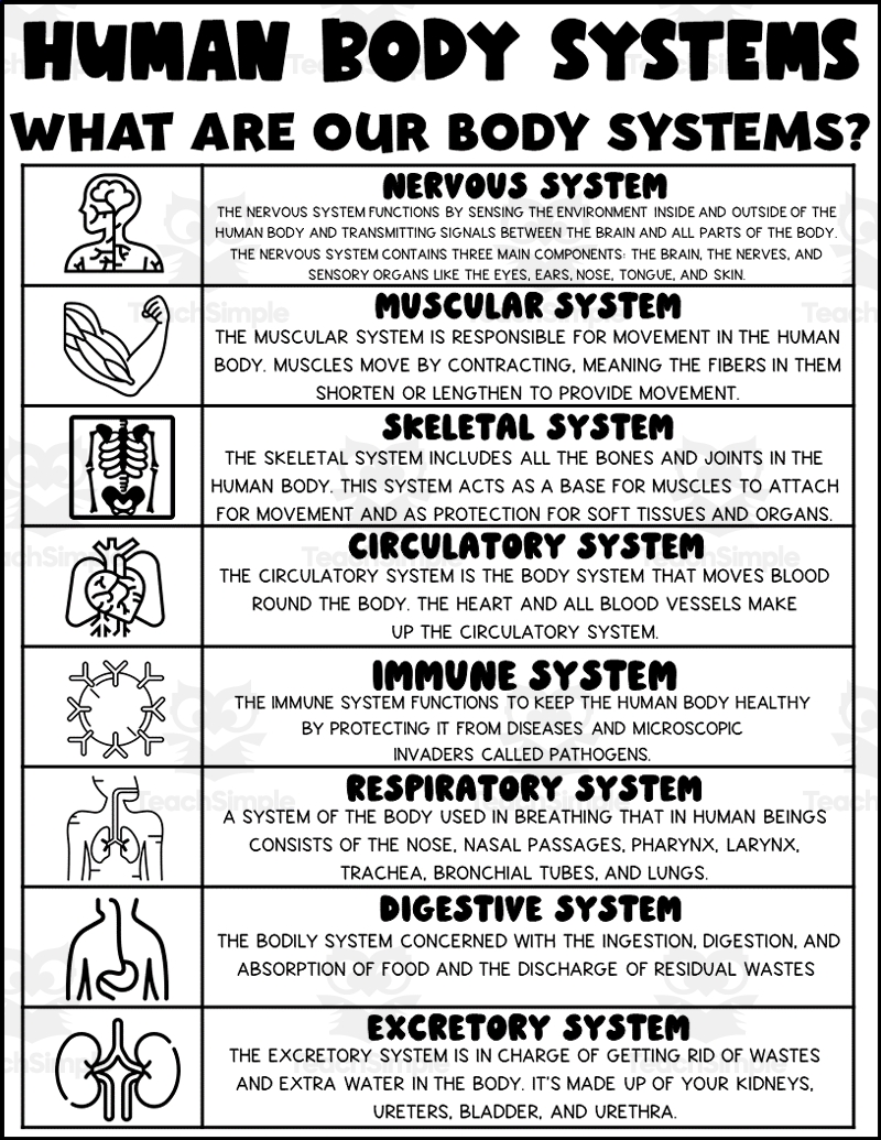 50 Health Science Worksheets For 6th Grade On Quizizz Free 