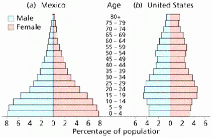 50 Population Ecology Graph Worksheet Chessmuseum Template Library