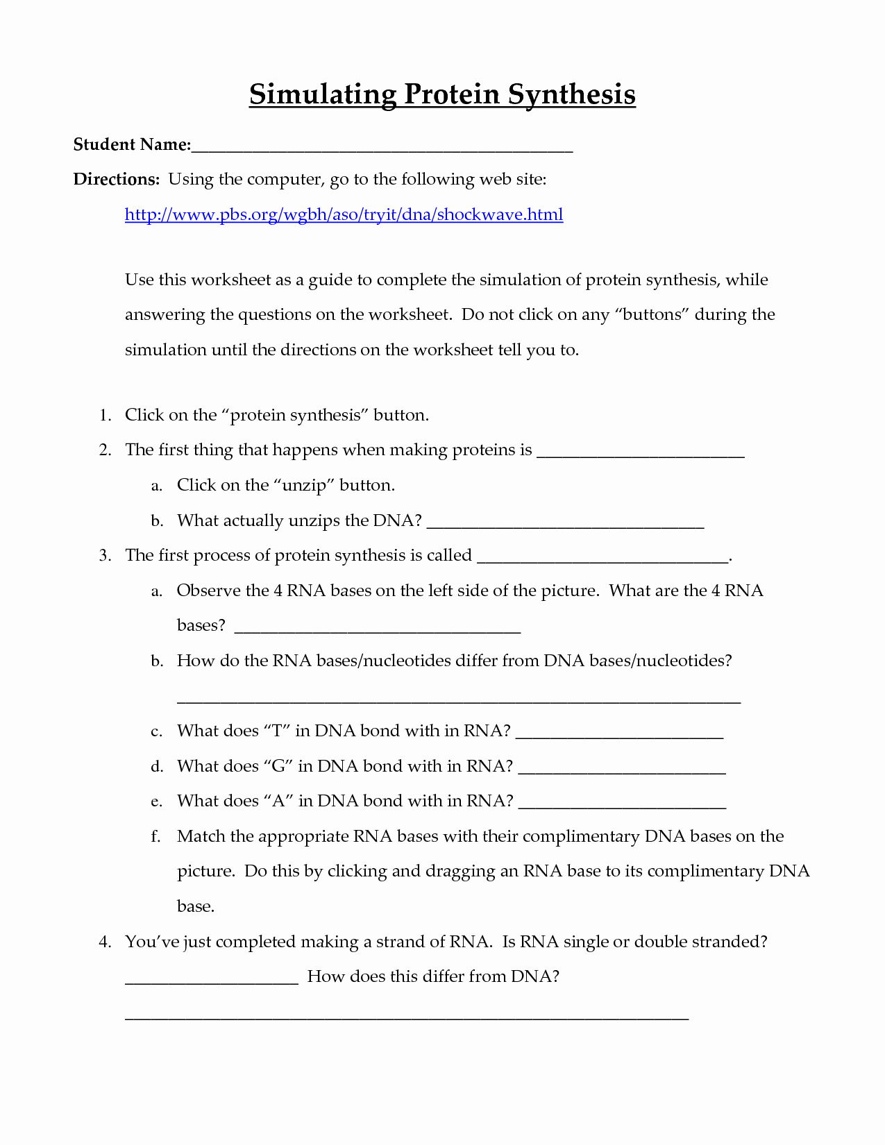50 Protein Synthesis Worksheet Answer Key