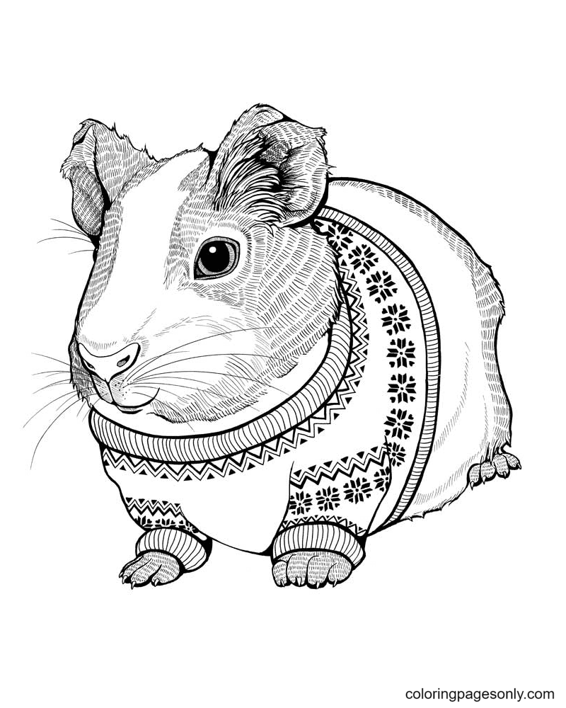 Hamster Coloring Pages