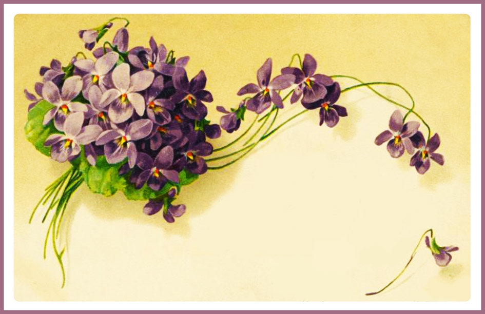 printable greeting cards blank