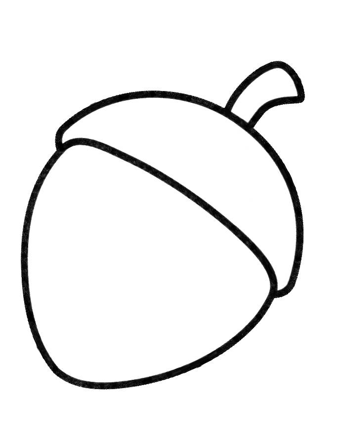 Acorn Coloring Pages Free Printable PDF 