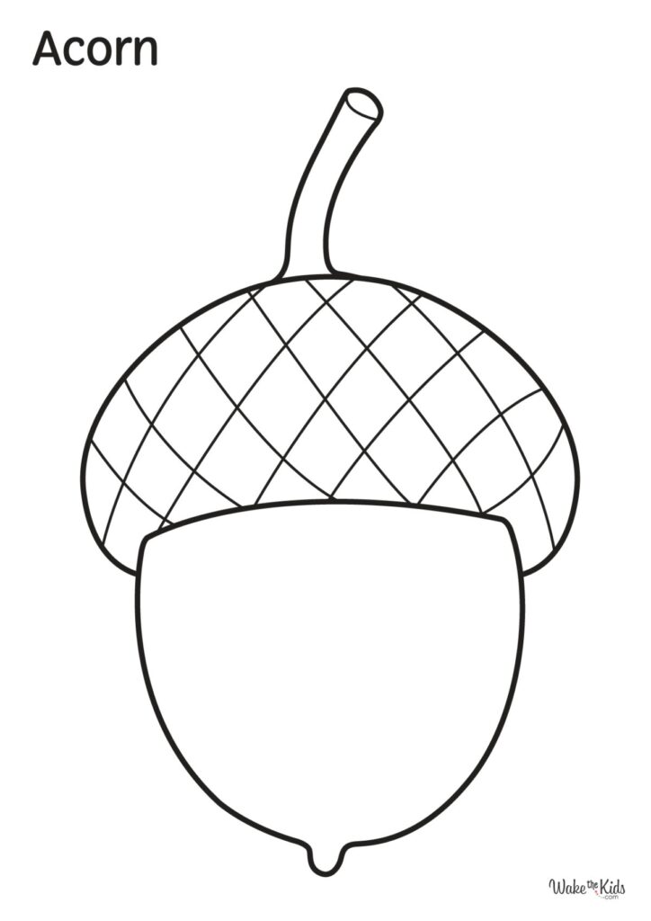 Acorn Coloring Pages Free Printable PDFs WakeTheKids
