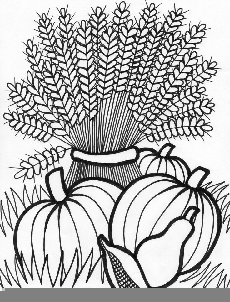 Adult Coloring Pages Fall Adult Coloring Pages Printable