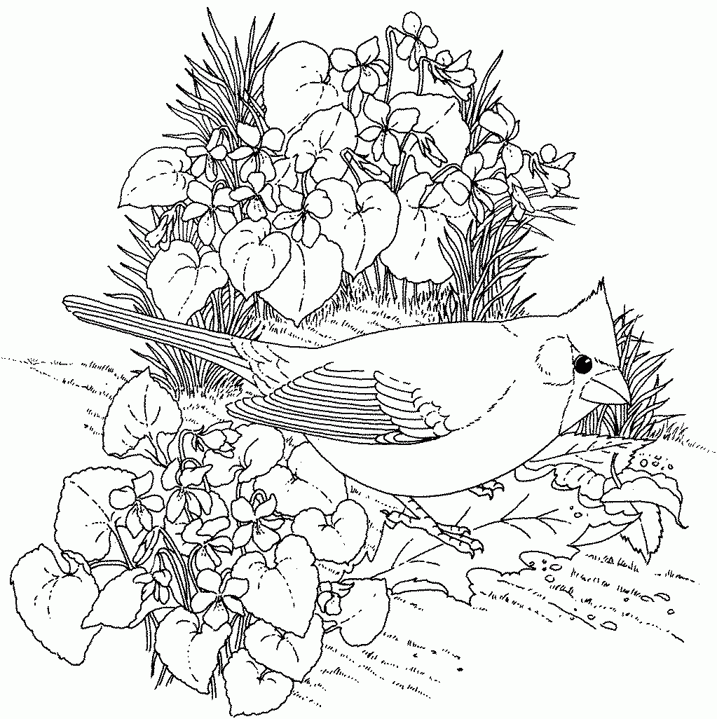 free adult coloring pages flowers