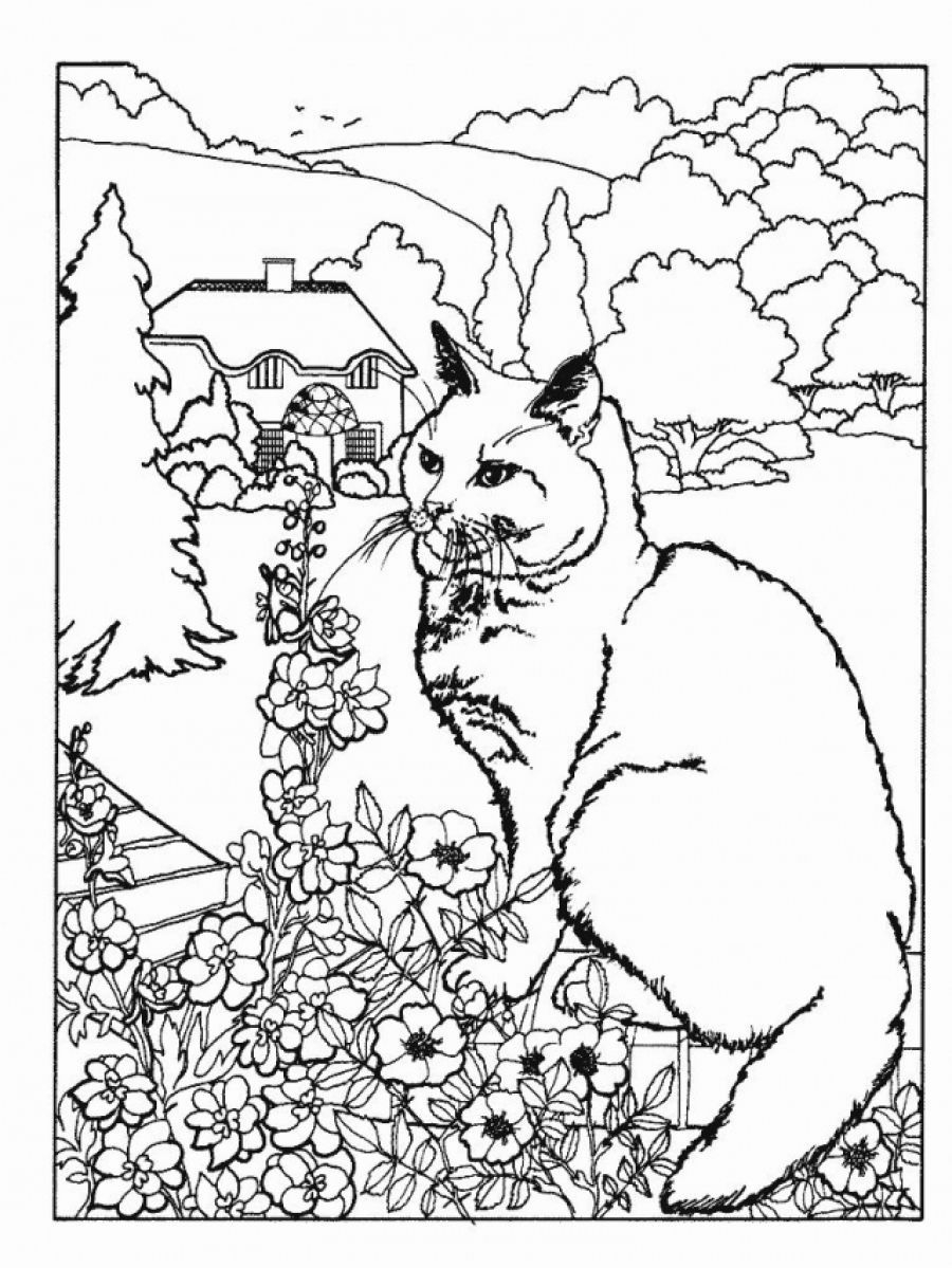 Advanced Coloring Pages Free Coloring Home