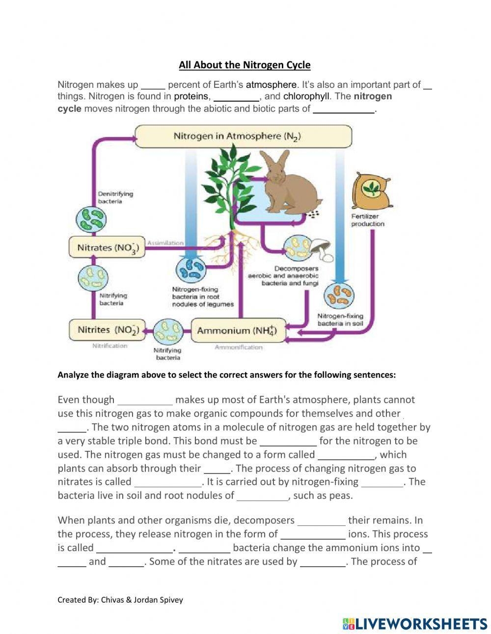 All About The Nitrogen Cycle Activity Worksheet Live Worksheets