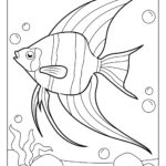 Angelfish Coloring Pages Free Printable PDFs WakeTheKids