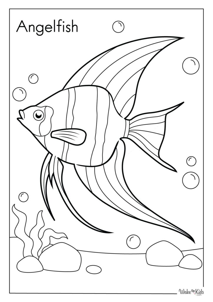 Angelfish Coloring Pages Free Printable PDFs WakeTheKids
