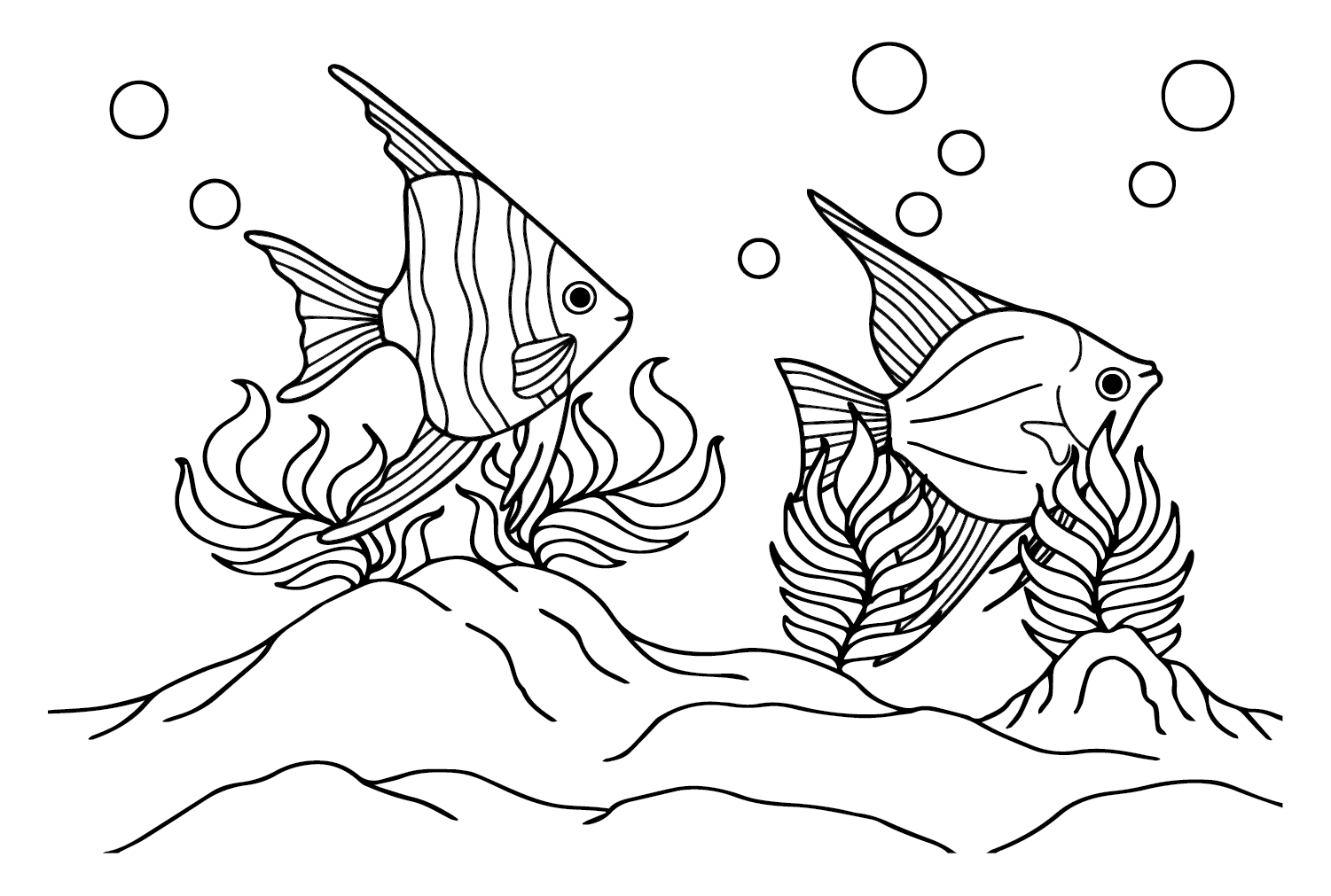 Angelfish Coloring Page