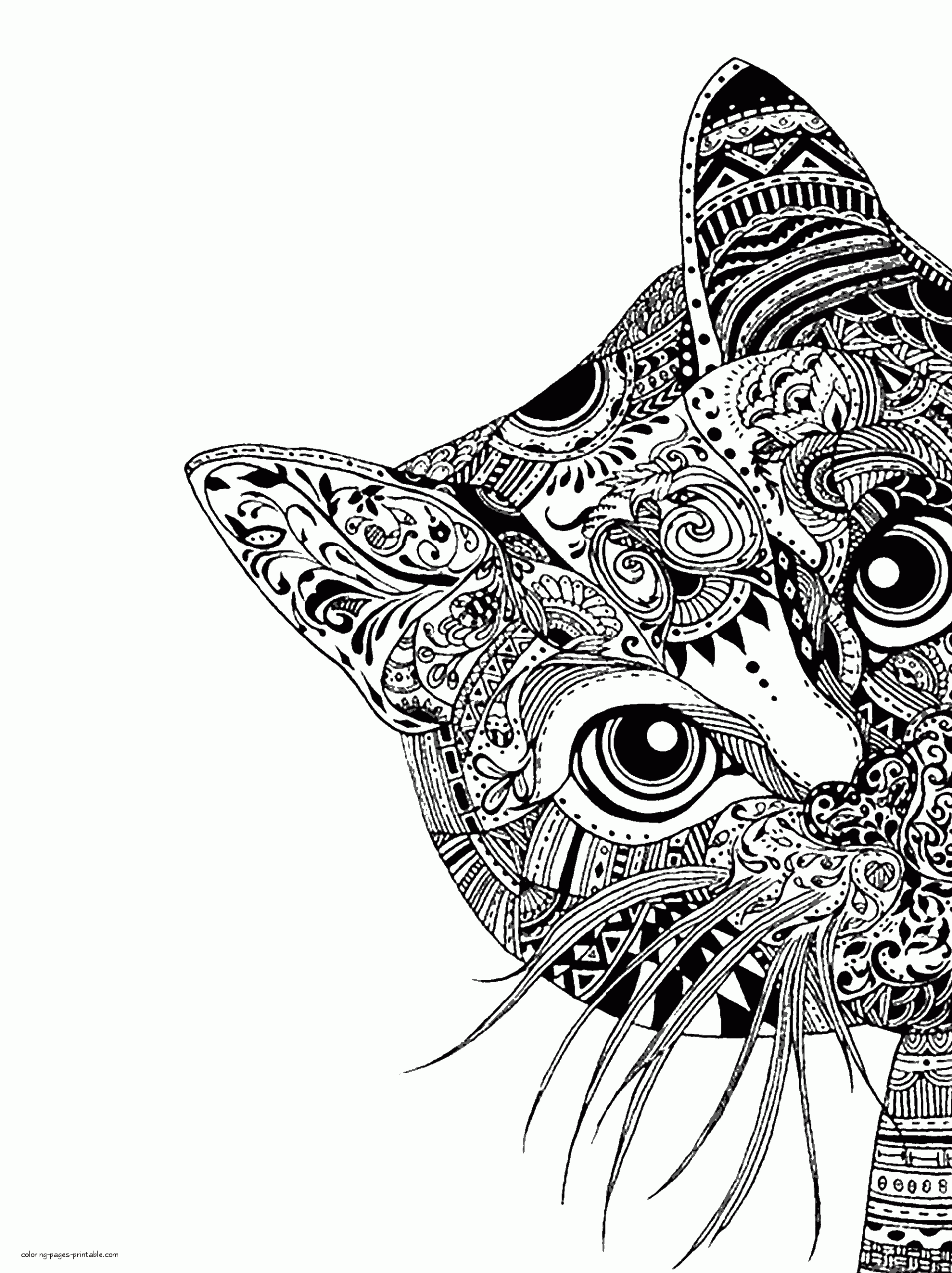 Coloring Pages Animal