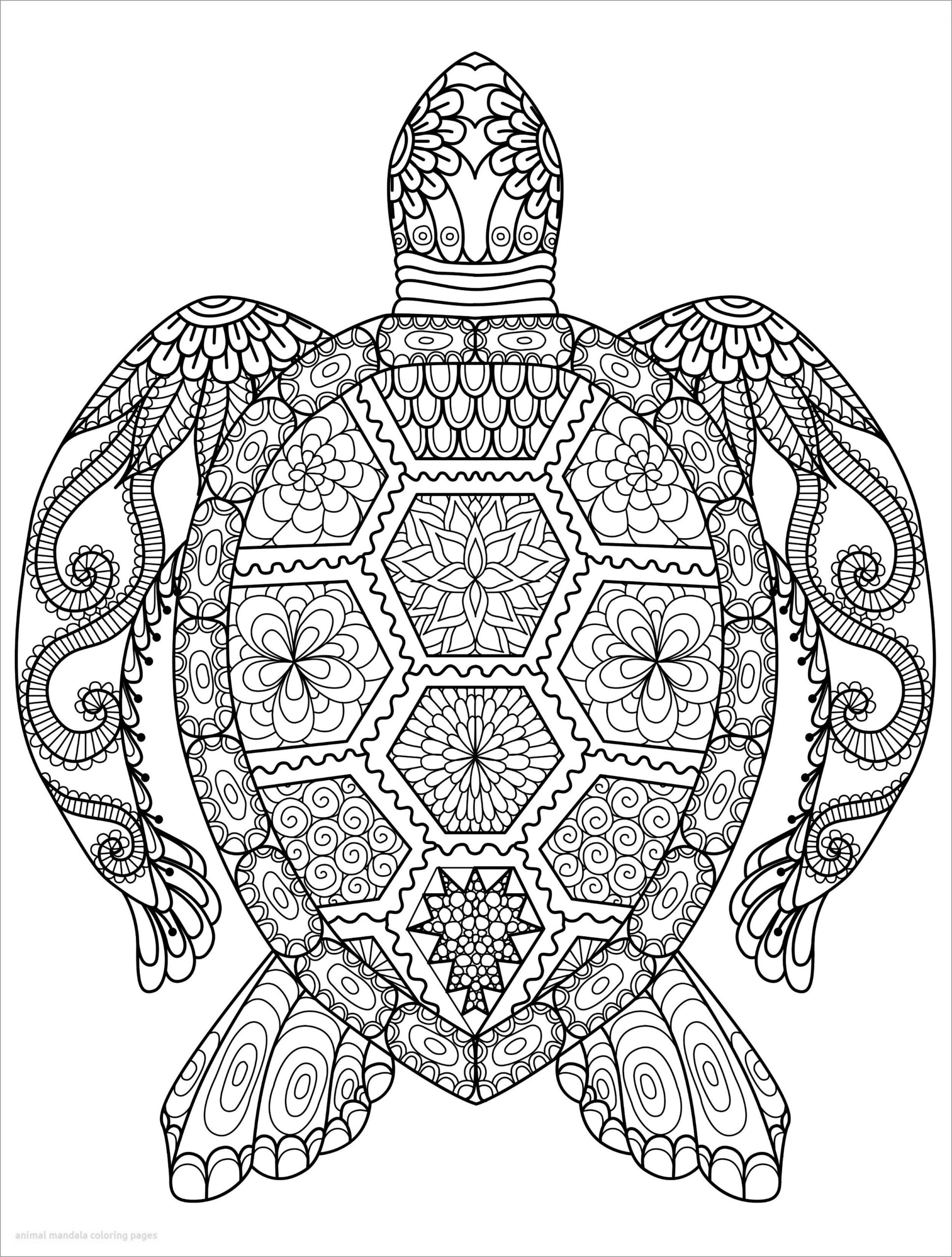 Animal Mandala Coloring Page Turtle ColoringBay
