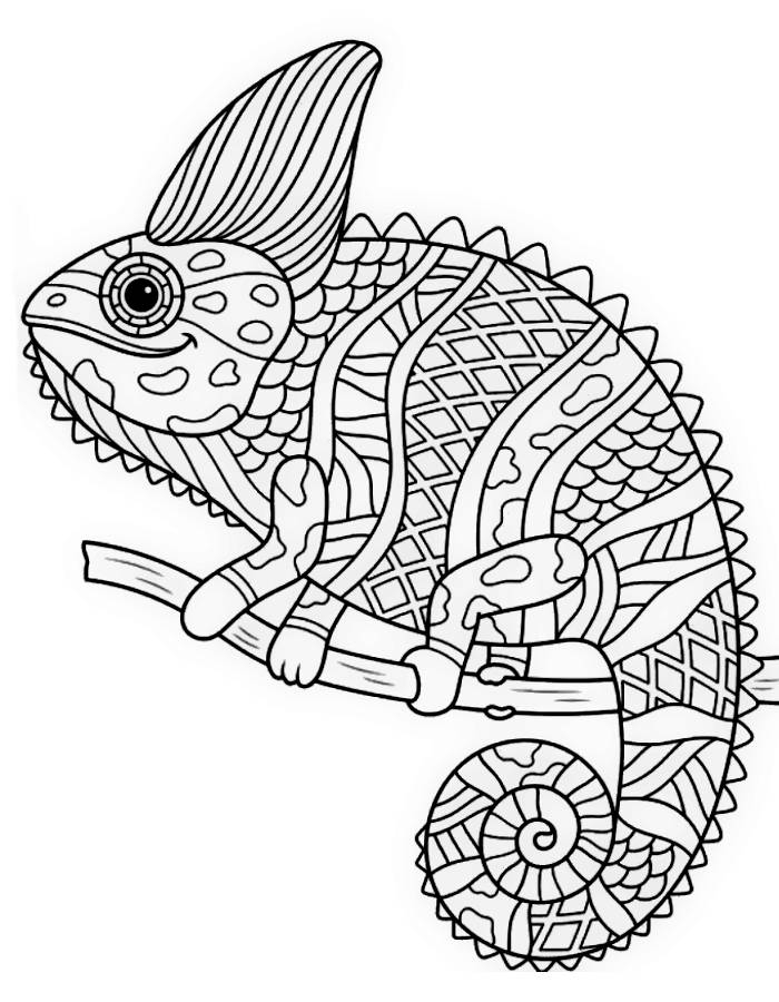 Animal Mandala Coloring Pages Free Printable PDF 