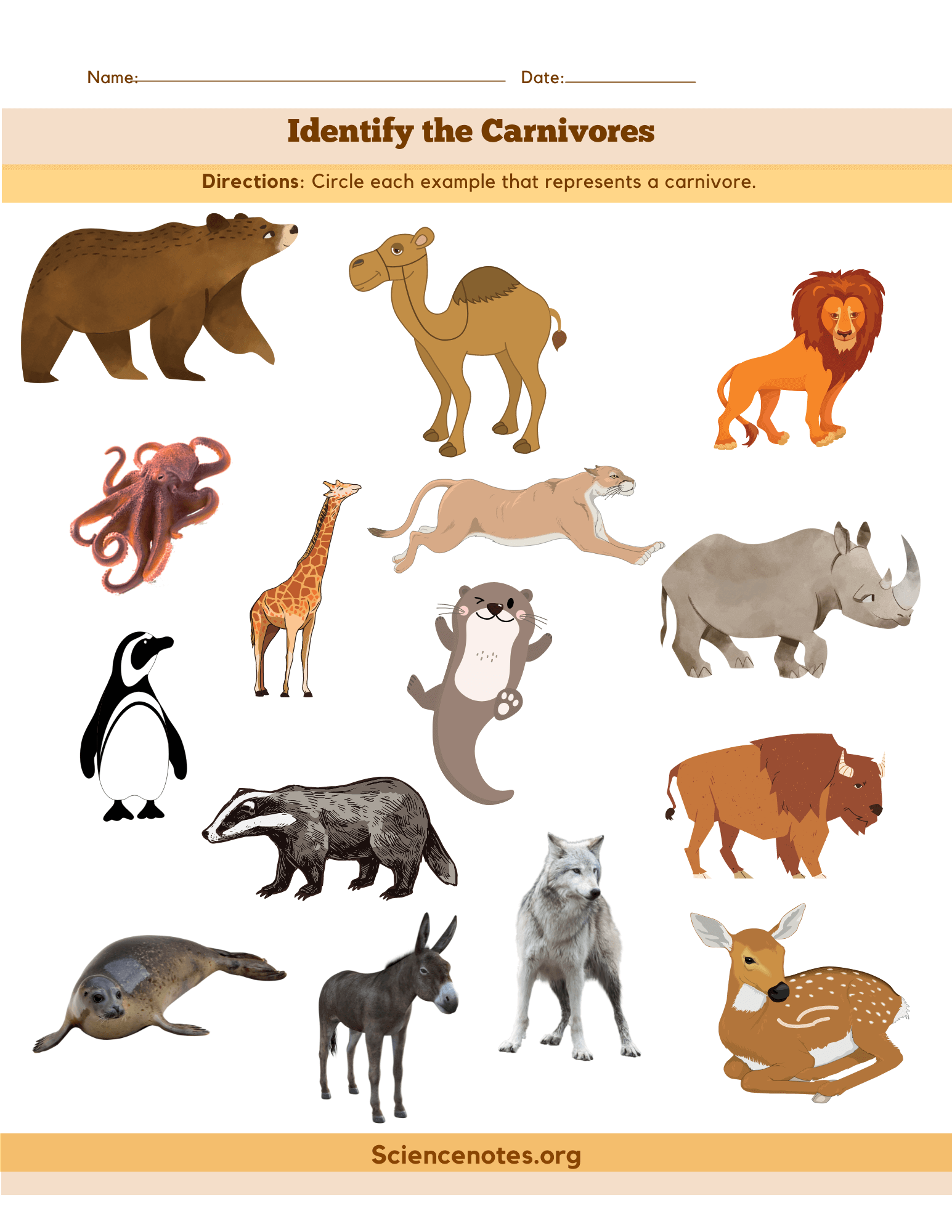 printable worksheets animals pdf