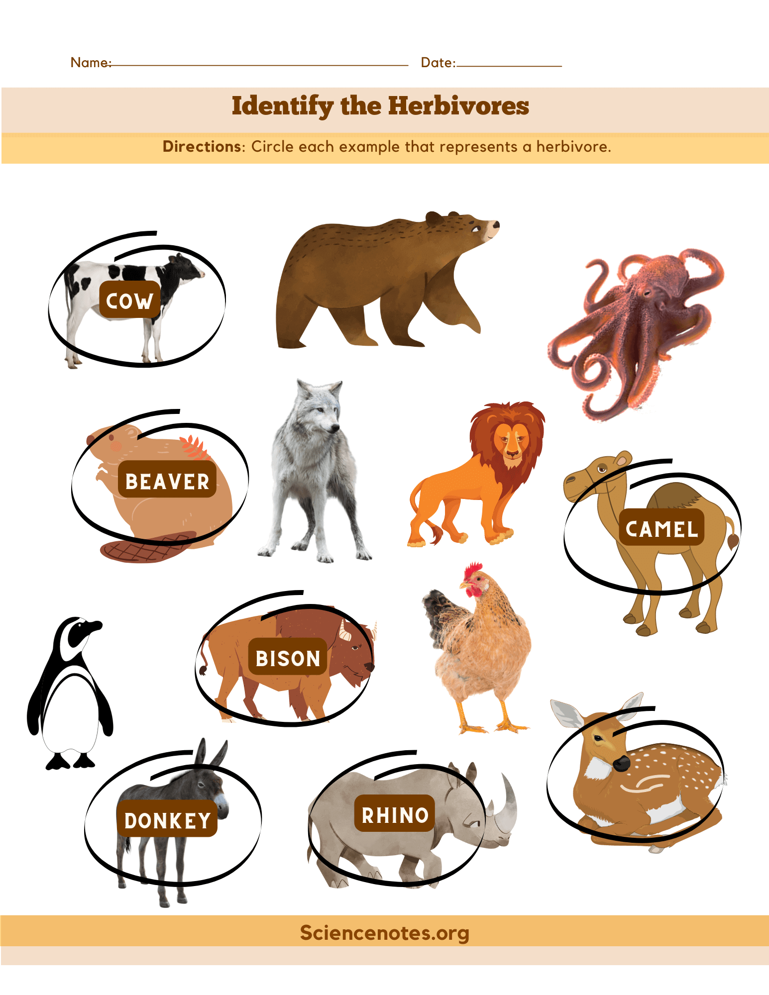 Animal Worksheets Worksheets Library