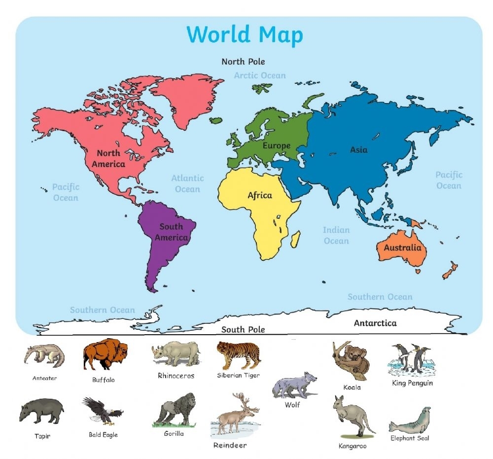Animals On Continents Worksheet Printable Worksheets