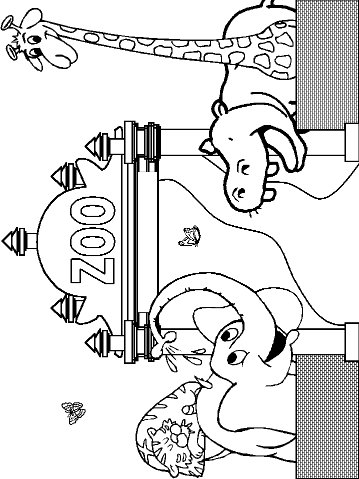Animals Zoo Coloring Pages Coloring Page Book
