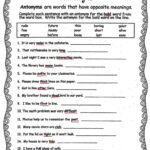 Antonym Worksheet By Rachel Rosen Worksheets Library Worksheets Library