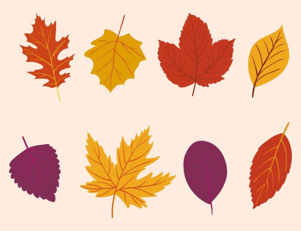 Autumn Leaves Printable Printable Free Templates