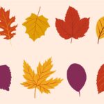 Autumn Leaves Printable Printable Free Templates