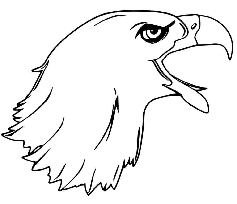 Bald Eagle Coloring Pages Free Printable Coloring Pages For Kids