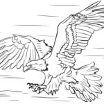 Bald Eagle Head Coloring Page Free Printable Coloring Pages For Kids