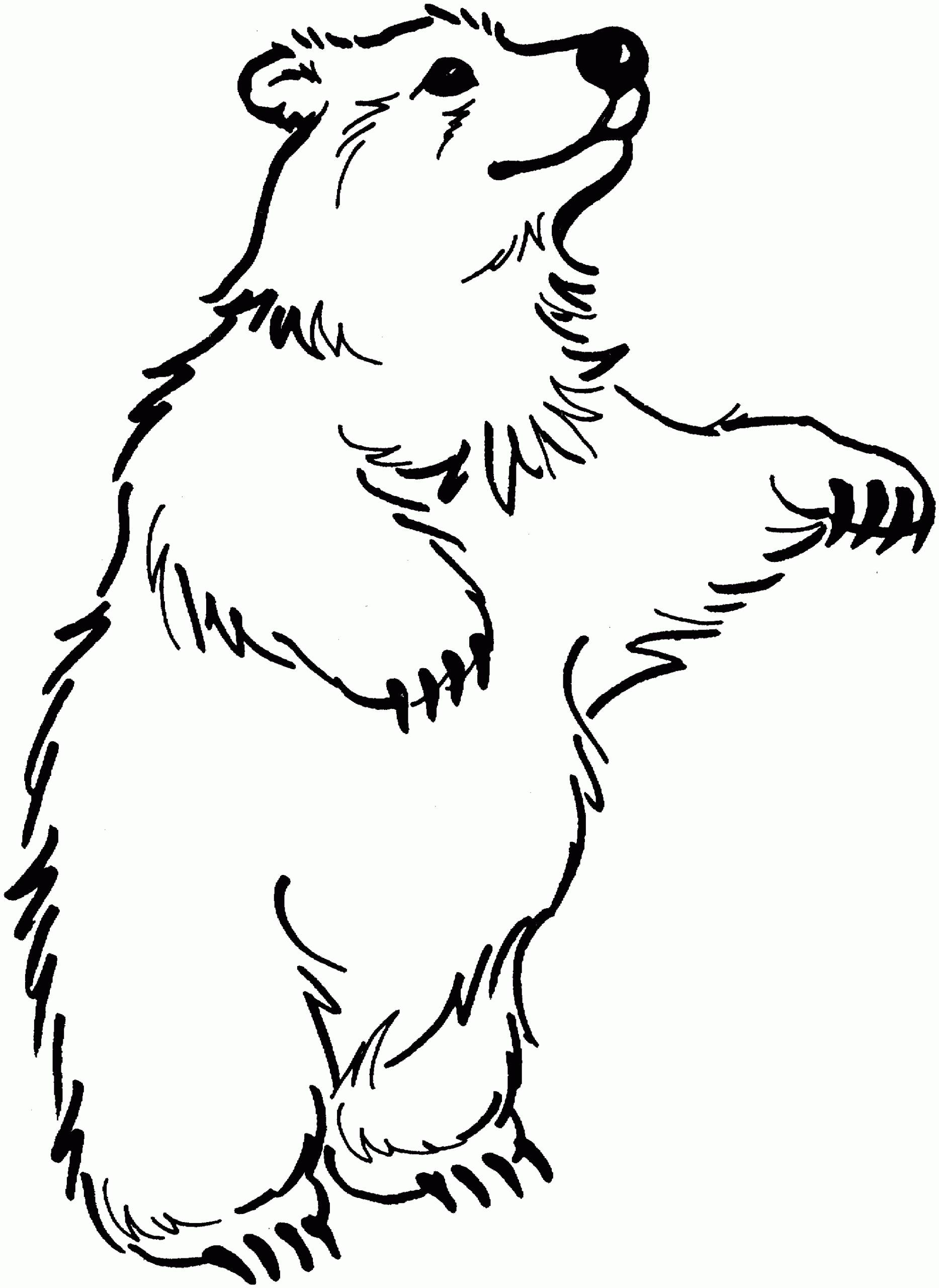free coloring pages of bears