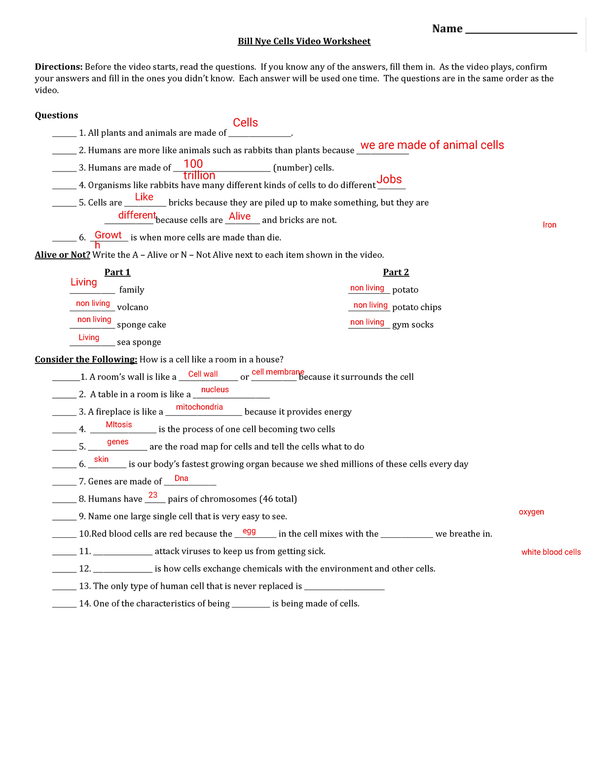 bill nye cells worksheet