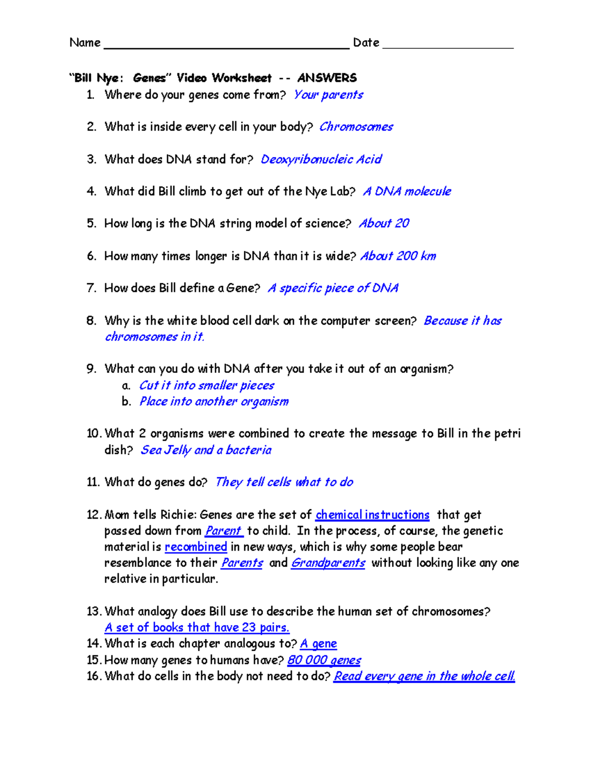Bill Nye Genes Worksheet E streetlight