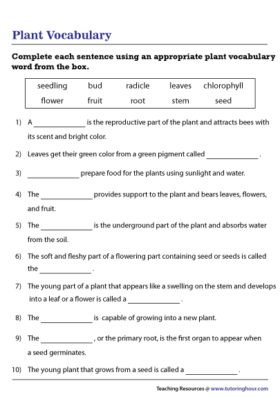 Blank Flower Parts Worksheet Best Flower Site