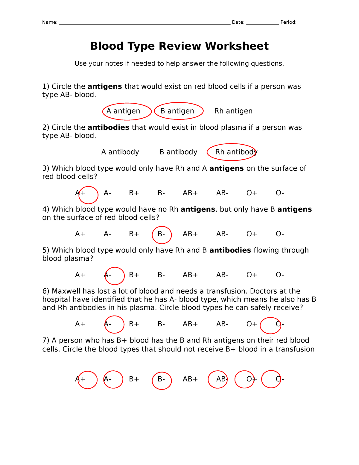 Blood Type Review Worksheet Key Name Studocu Worksheets Library