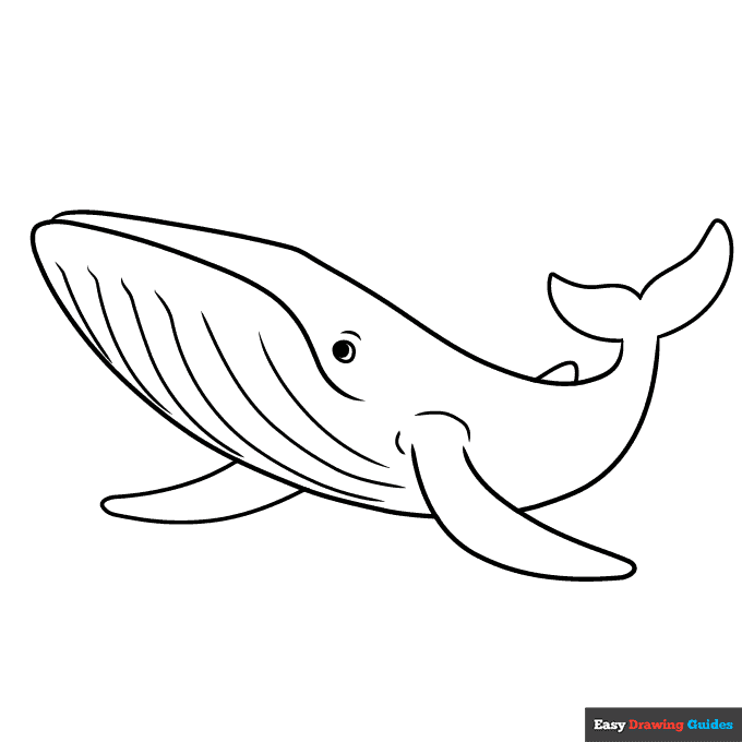 Whale Color Pages
