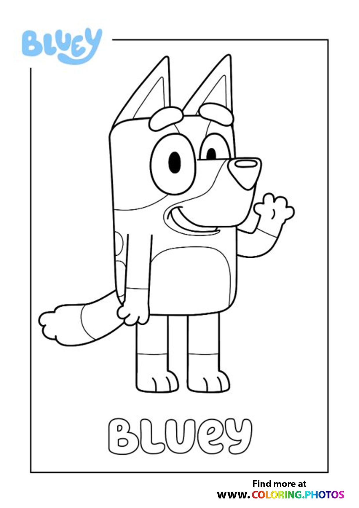 Bluey Bingo Coloring Pages For Kids