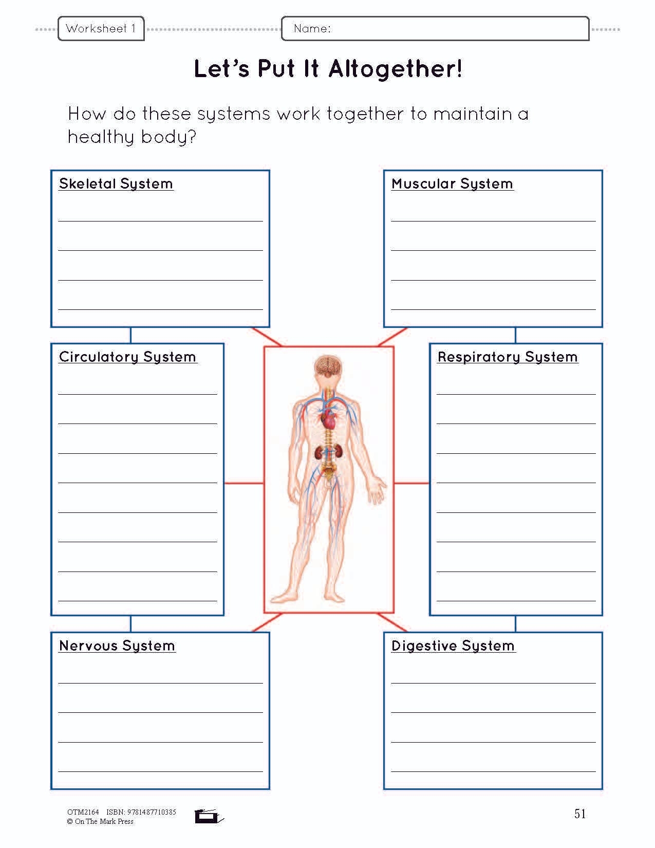 6th grade body systems worksheets