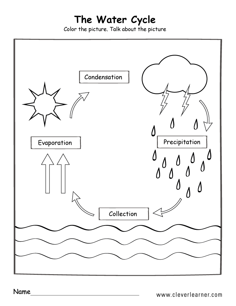 water cycle activities for kids printable