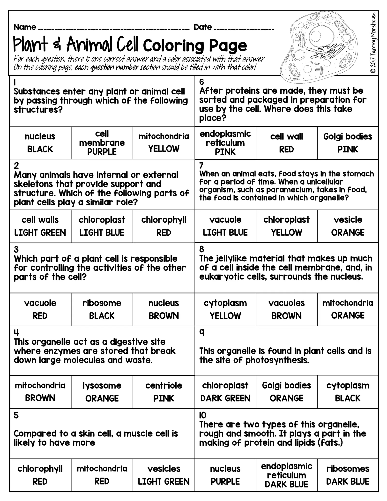 worksheet on cell organelles