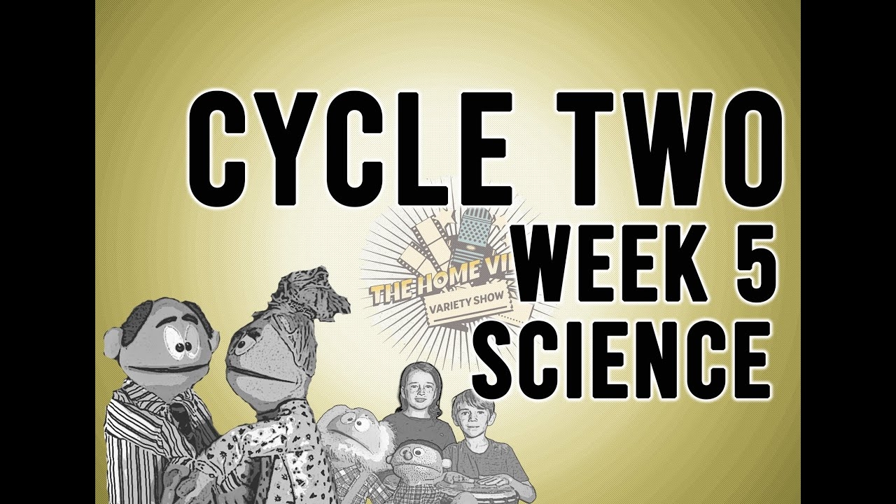 Chapter 2 Directed Reading Worksheet Cycles In Nature Cycles