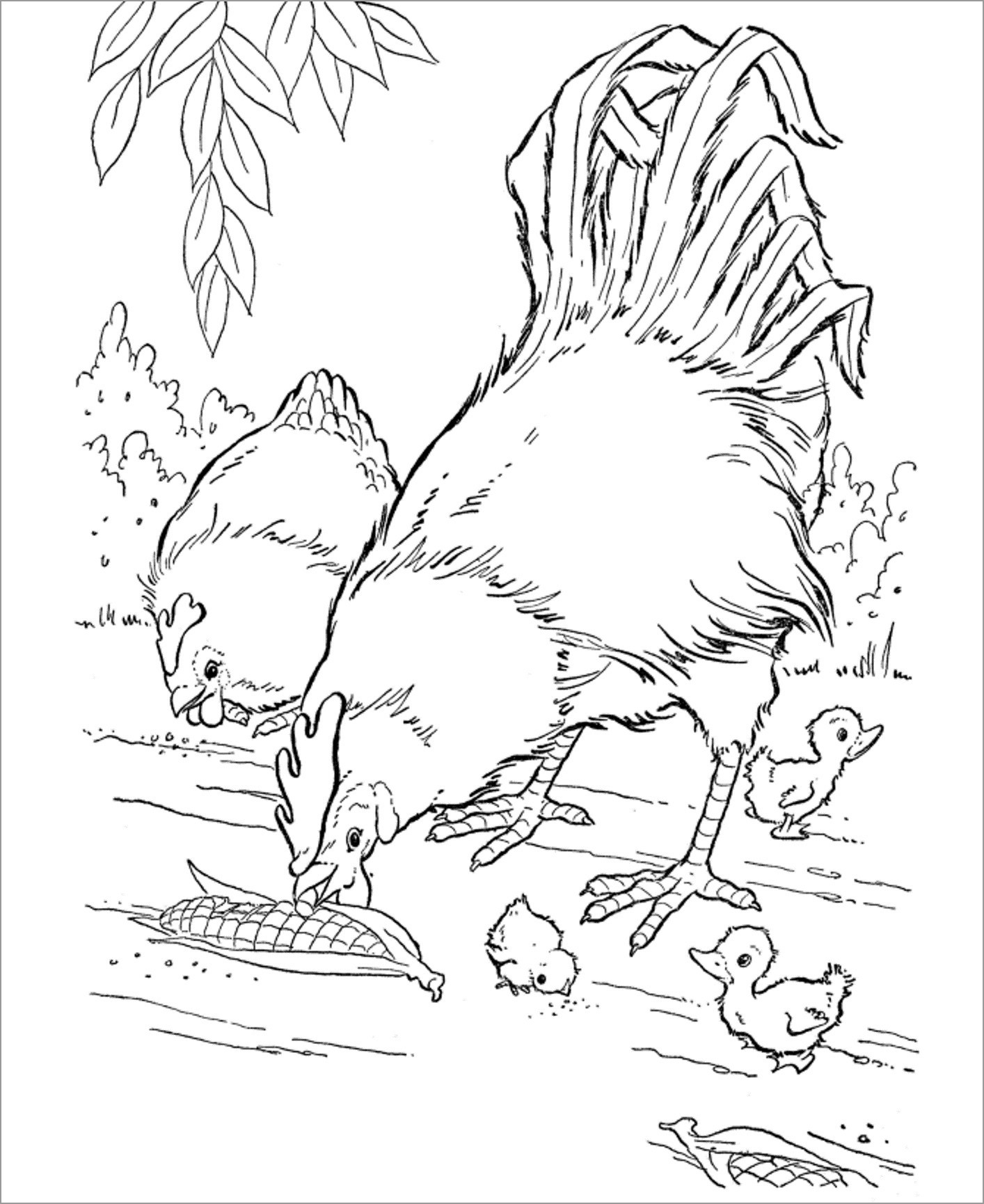 Coloring Page Chicken