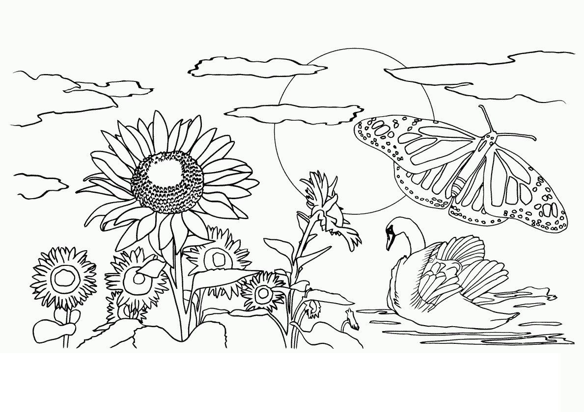 free nature coloring pages for adults